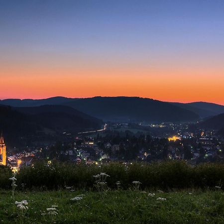 Drei Tannen - Wohnung 09 - Apartmenthaus, Titisee, Feldberg 外观 照片