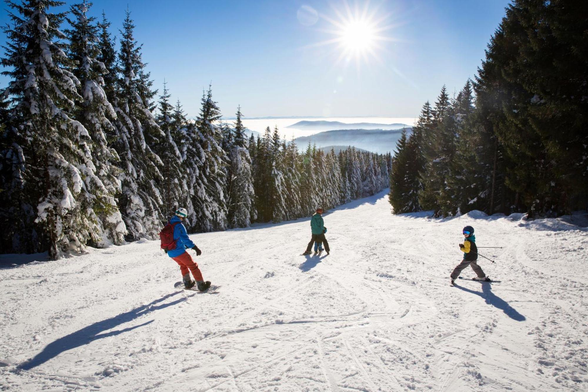 Drei Tannen - Wohnung 09 - Apartmenthaus, Titisee, Feldberg 外观 照片