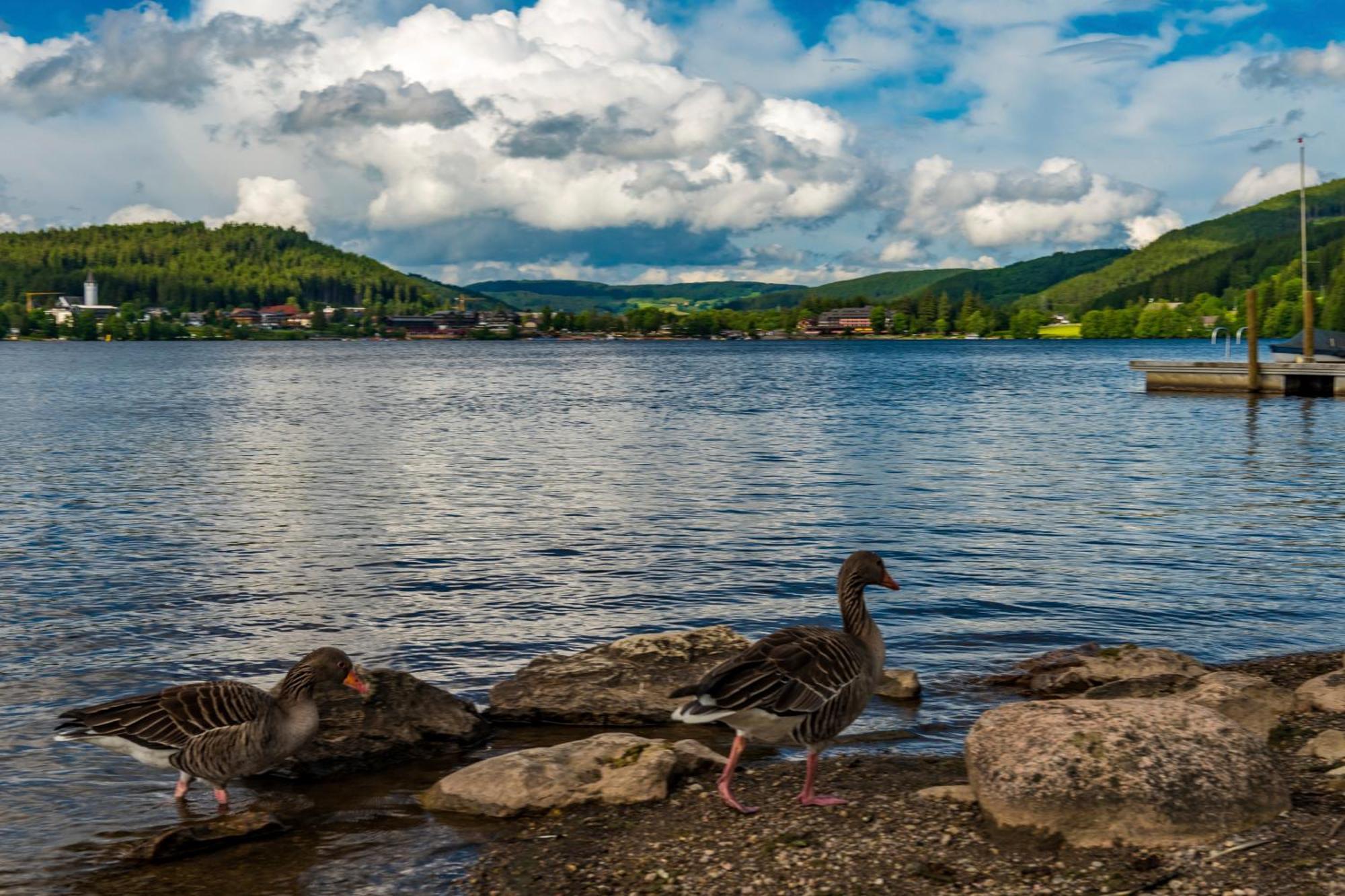 Drei Tannen - Wohnung 09 - Apartmenthaus, Titisee, Feldberg 外观 照片