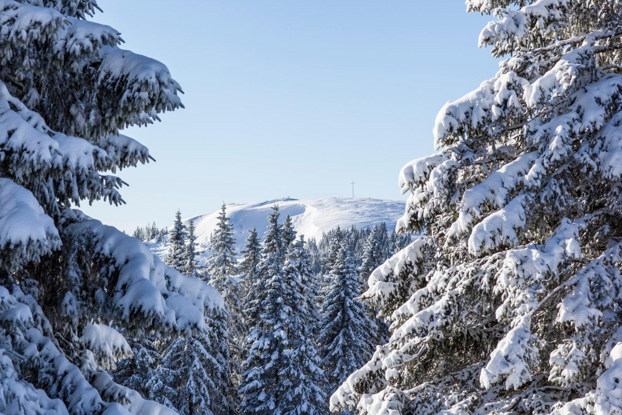 Drei Tannen - Wohnung 09 - Apartmenthaus, Titisee, Feldberg 外观 照片