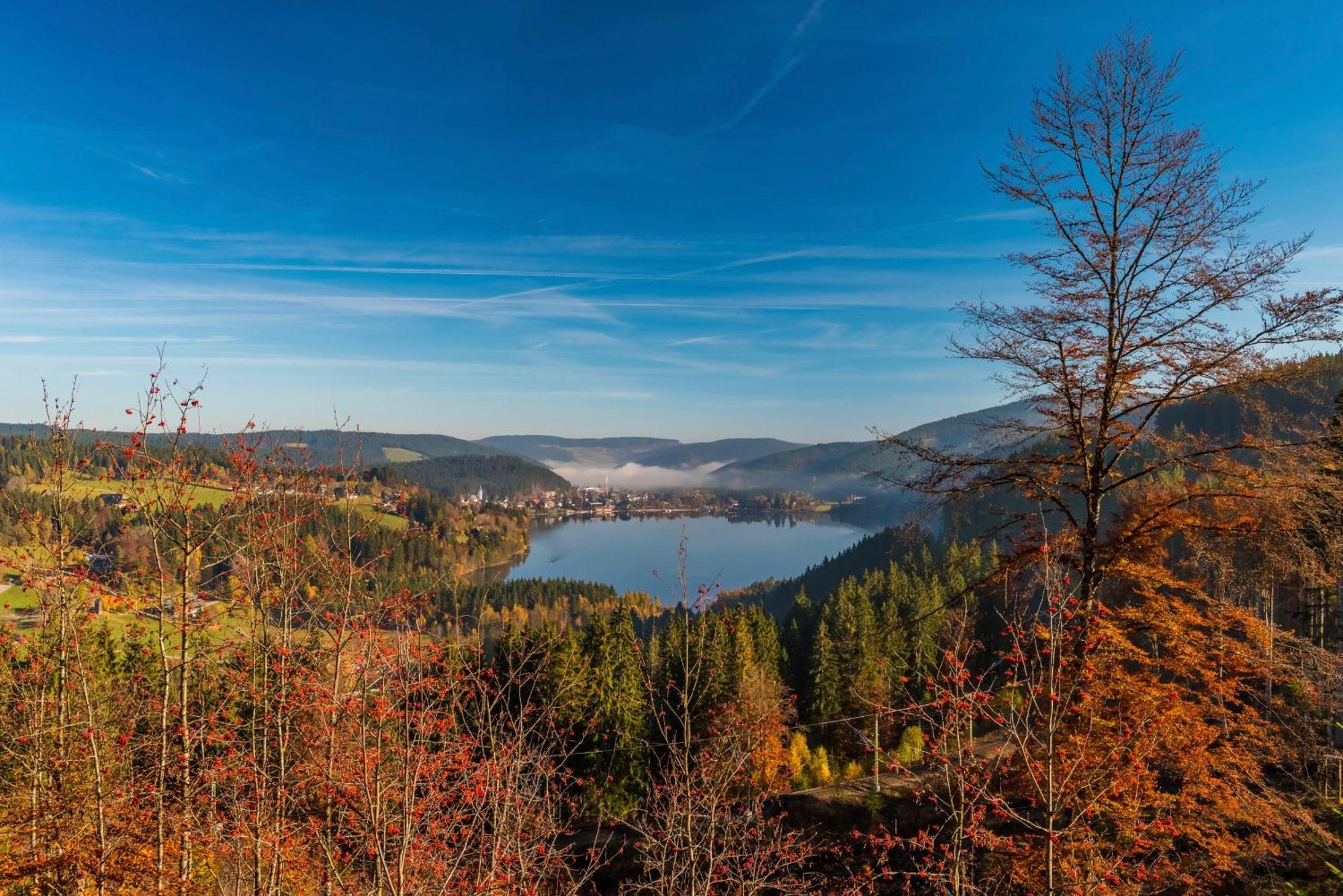 Drei Tannen - Wohnung 09 - Apartmenthaus, Titisee, Feldberg 外观 照片